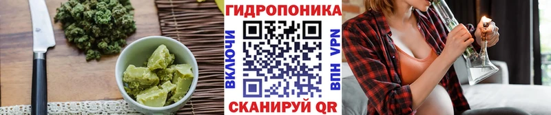 Canna-Cookies конопля  даркнет сайт  Сольвычегодск 