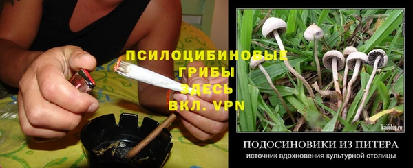 дживик Алексин