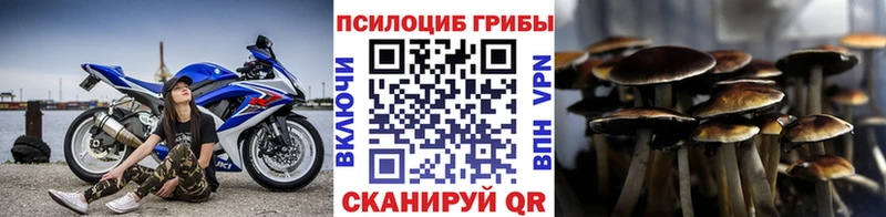 Галлюциногенные грибы прущие грибы  где продают наркотики  Сольвычегодск 