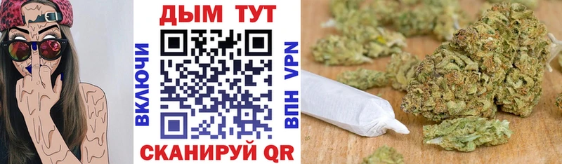 Каннабис семена  где найти наркотики  Сольвычегодск 